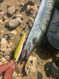 *PRE-ORDER* Oama Lures