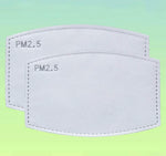 BULK LOT 10, 20, 60, 100 Pieces Activated Carbon Mask Filter Replacements.